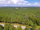 103 Acres County Road 20 - Photo 12
