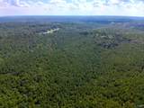 103 Acres County Road 20 - Photo 17