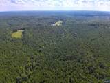 103 Acres County Road 20 - Photo 18
