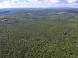 103 Acres County Road 20 - Photo 19