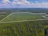 103 Acres County Road 20 - Photo 2