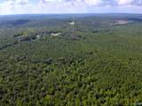 103 Acres County Road 20 - Photo 20