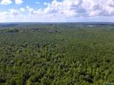 103 Acres County Road 20 - Photo 21