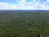 103 Acres County Road 20 - Photo 23