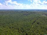 103 Acres County Road 20 - Photo 24