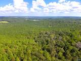 103 Acres County Road 20 - Photo 26