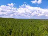 103 Acres County Road 20 - Photo 29