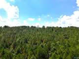 103 Acres County Road 20 - Photo 31