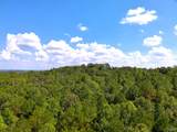 103 Acres County Road 20 - Photo 32