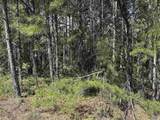 103 Acres County Road 20 - Photo 33