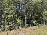 103 Acres County Road 20 - Photo 36