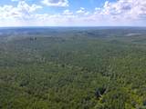 103 Acres County Road 20 - Photo 4
