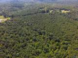 103 Acres County Road 20 - Photo 5