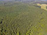 103 Acres County Road 20 - Photo 6