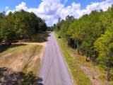 103 Acres County Road 20 - Photo 8