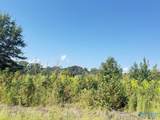 1 acre lot County Road 487 - Photo 2