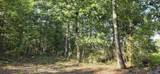 5+/- Acres County Road 426 - Photo 13