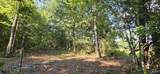 5+/- Acres County Road 426 - Photo 14
