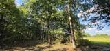 5+/- Acres County Road 426 - Photo 15