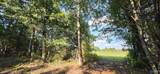 5+/- Acres County Road 426 - Photo 16