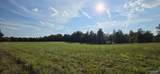 5+/- Acres County Road 426 - Photo 25