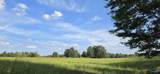 5+/- Acres County Road 426 - Photo 4