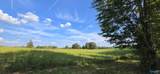 5+/- Acres County Road 426 - Photo 5