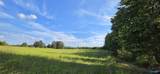 5+/- Acres County Road 426 - Photo 6