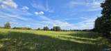 5+/- Acres County Road 426 - Photo 7