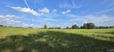 5+/- Acres County Road 426 - Photo 8