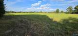 5+/- Acres County Road 426 - Photo 9