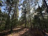 7 AC Rolling Hills Road - Photo 10