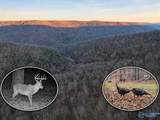 100 AC Dry Creek Road - Photo 1