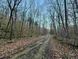 100 AC Dry Creek Road - Photo 13