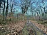 100 AC Dry Creek Road - Photo 14