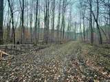 100 AC Dry Creek Road - Photo 15
