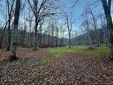 100 AC Dry Creek Road - Photo 16