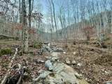 100 AC Dry Creek Road - Photo 17
