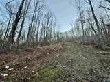 100 AC Dry Creek Road - Photo 18