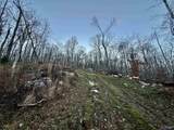 100 AC Dry Creek Road - Photo 19