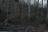 100 AC Dry Creek Road - Photo 2