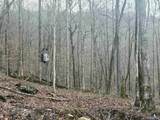 100 AC Dry Creek Road - Photo 26