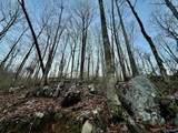 100 AC Dry Creek Road - Photo 28