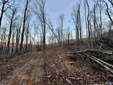 100 AC Dry Creek Road - Photo 31