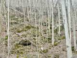100 AC Dry Creek Road - Photo 32