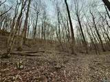 100 AC Dry Creek Road - Photo 34