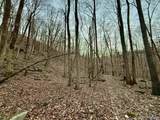 100 AC Dry Creek Road - Photo 35