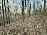 100 AC Dry Creek Road - Photo 36