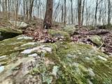 100 AC Dry Creek Road - Photo 37