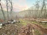 100 AC Dry Creek Road - Photo 38